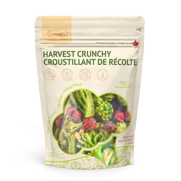 Loopy Paws – Harvest Crunchy (Broccoli, Corn, Cranberry)