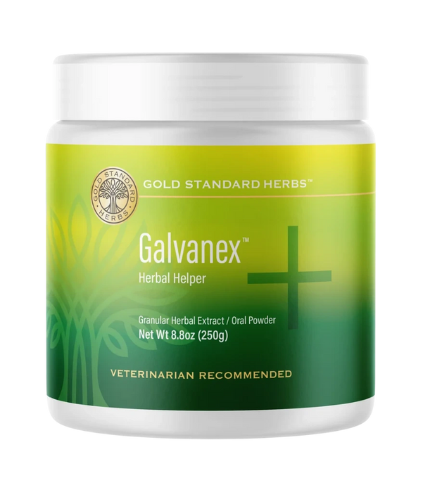 Galvanex