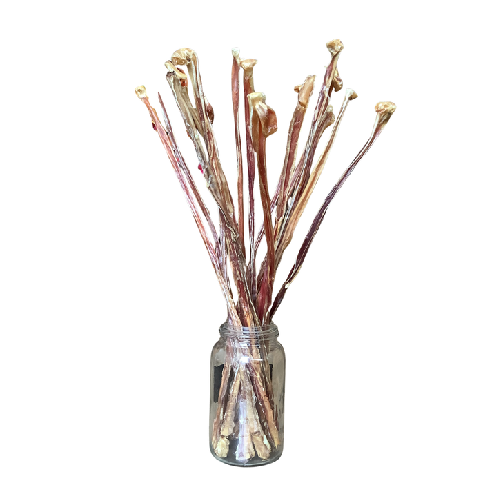 20" Skinny Bully Sticks