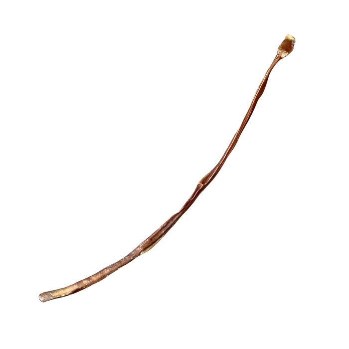 20" Skinny Bully Sticks