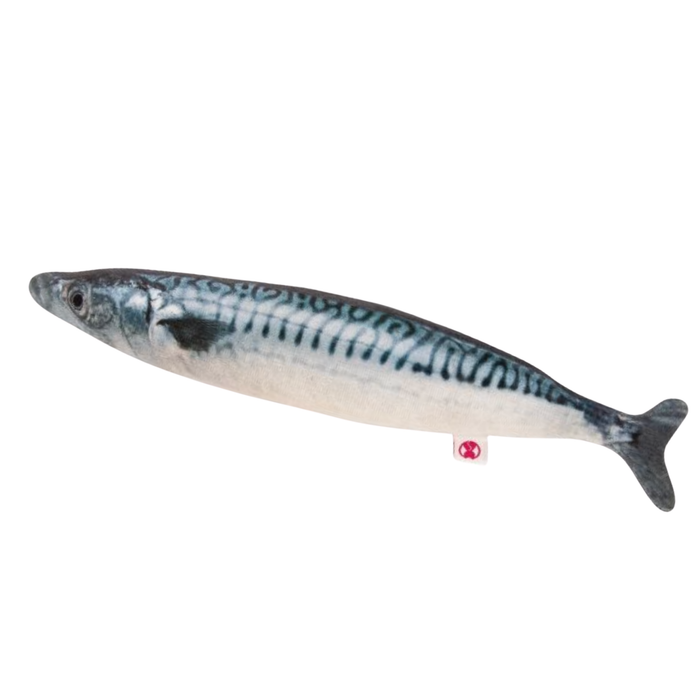 Mackerel Cuddle Fish