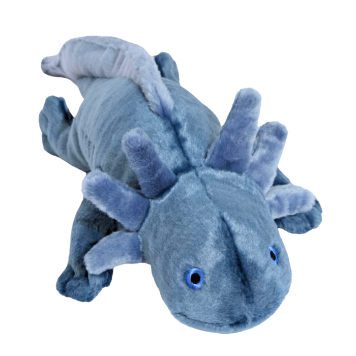 Millie Axolotl