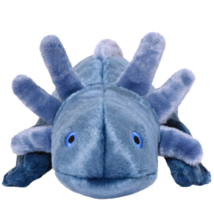 Millie Axolotl