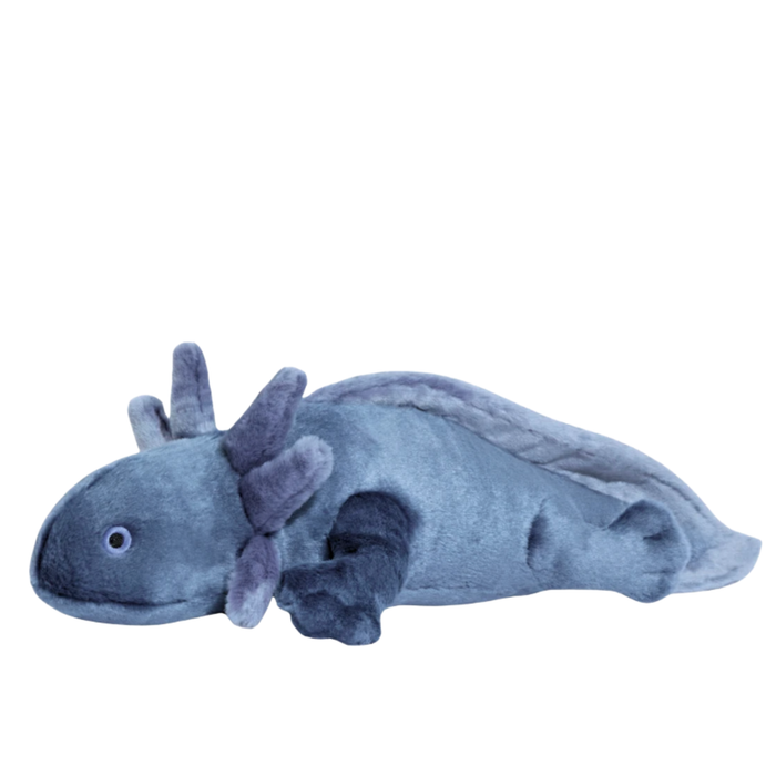 Millie Axolotl