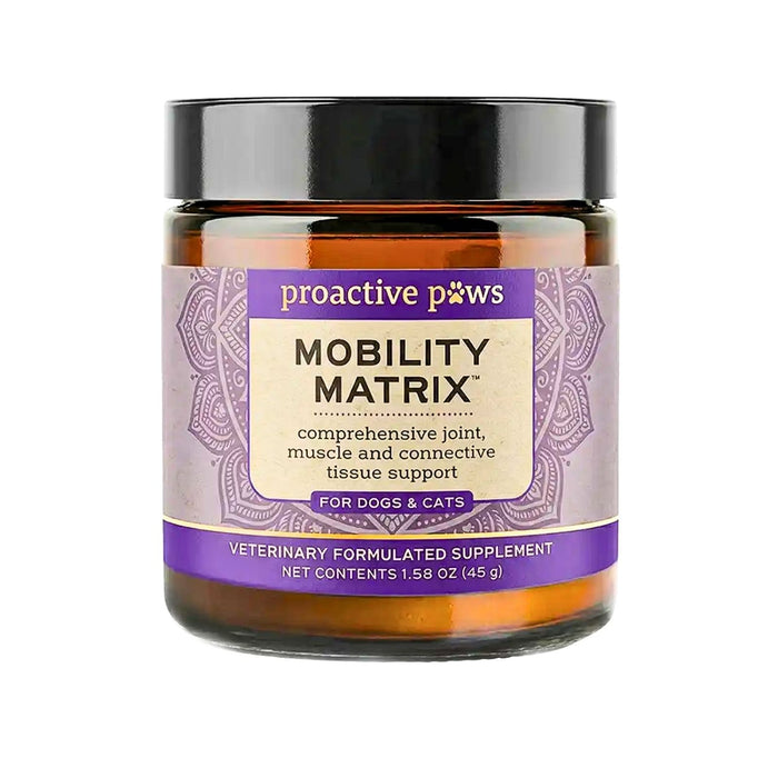 Mobility Matrix
