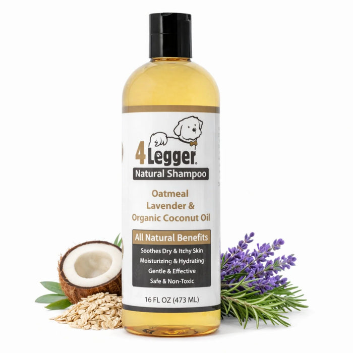 Oatmeal, Lavender, and Organic Coconut Oil Shampoo