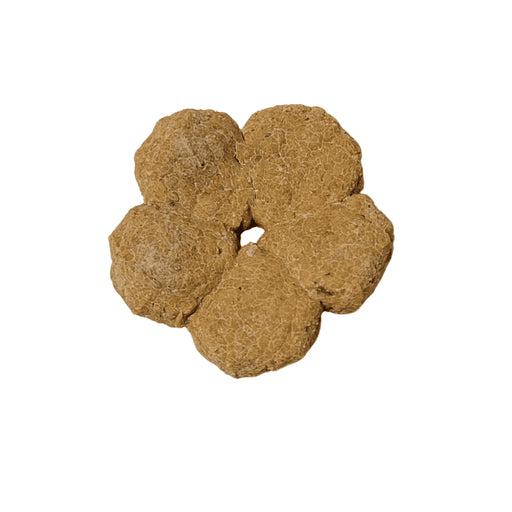Small, brown, flower-shaped dog cookie with a small hole in the centre.