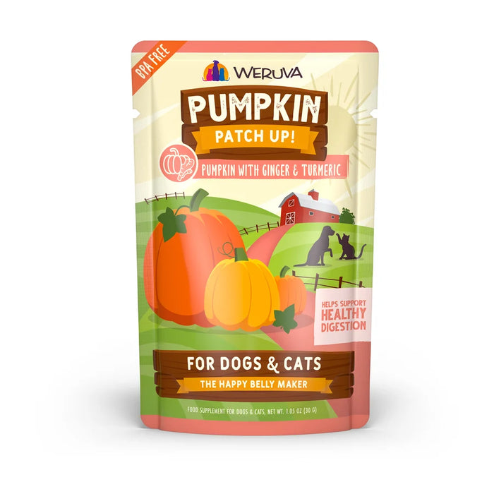 Pumpkin Patch Up: Pumpkin with Ginger and Turmeric