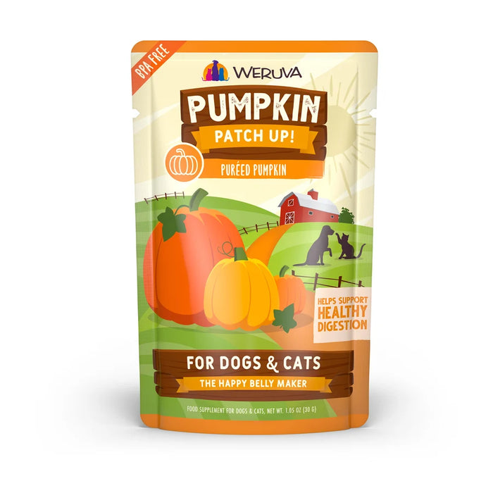 Pumpkin Patch Up: Puréed Pumpkin