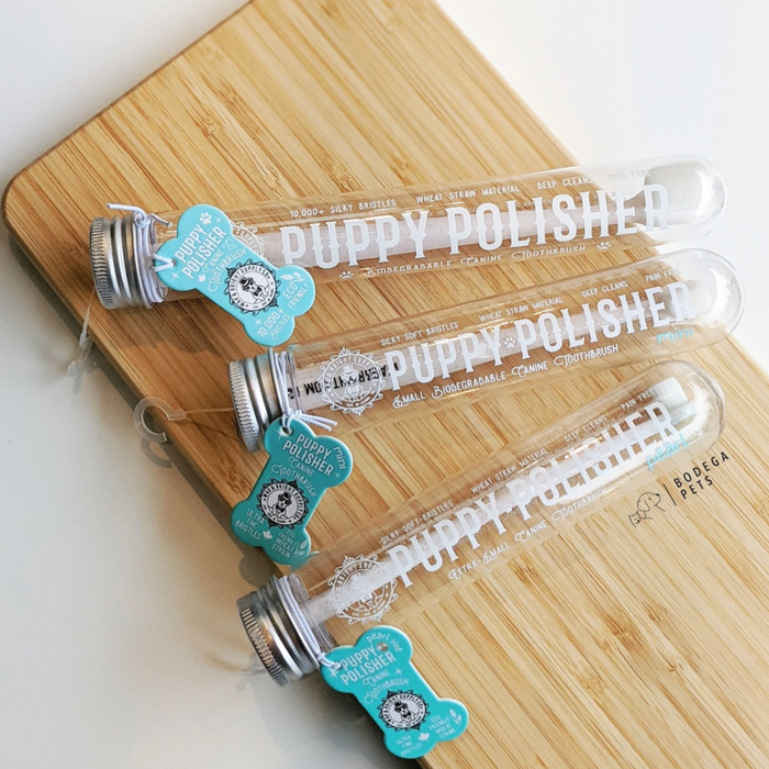 Puppy Polisher Eco Toothbrush