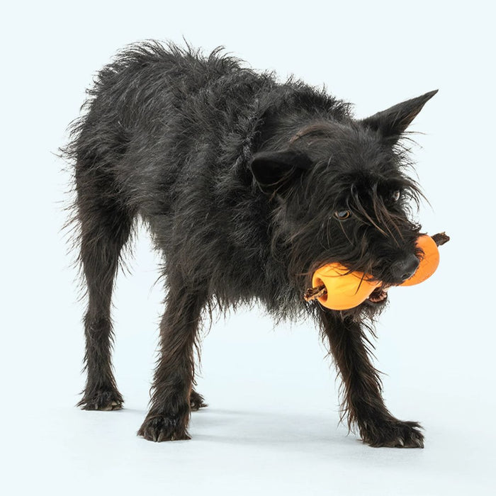 Qwizl Treat Toy