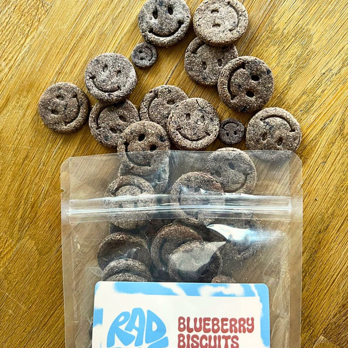 Rad Dog Blueberry Biscuits