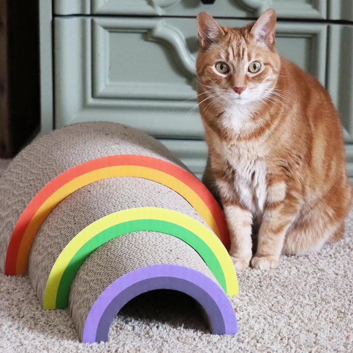 Rainbow Cat Scratcher