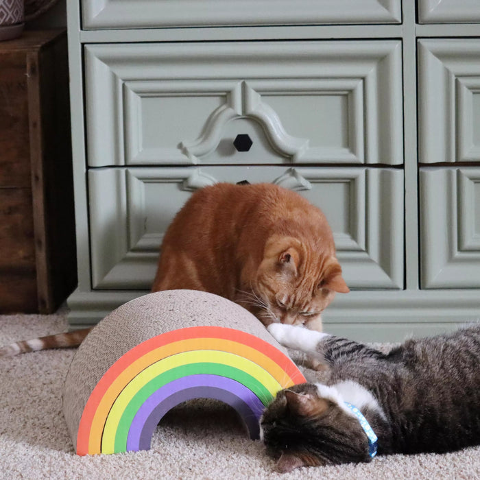Rainbow Cat Scratcher