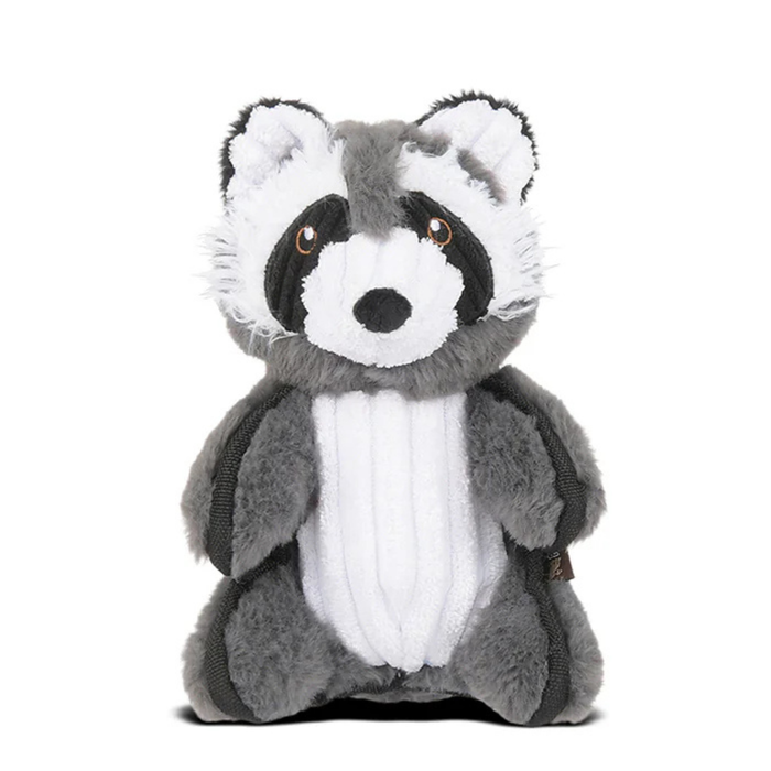Robby the Raccoon