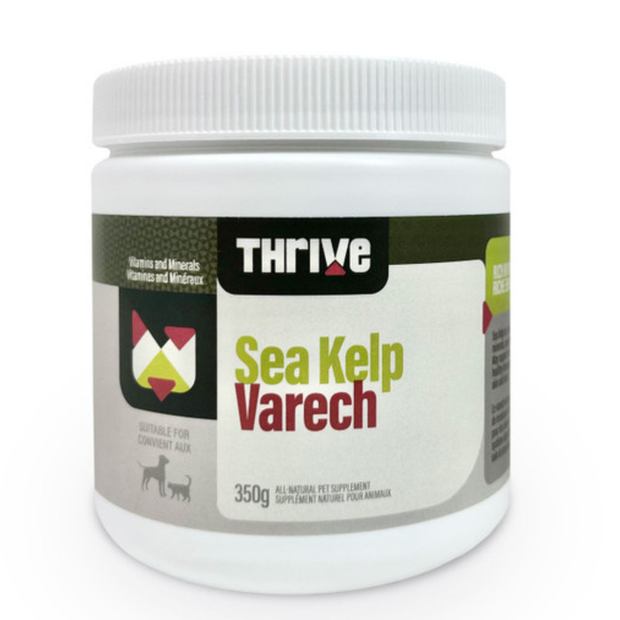 Sea Kelp (Thrive)