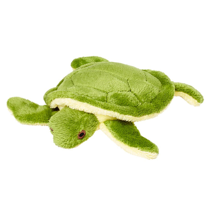 Shelly Turtle