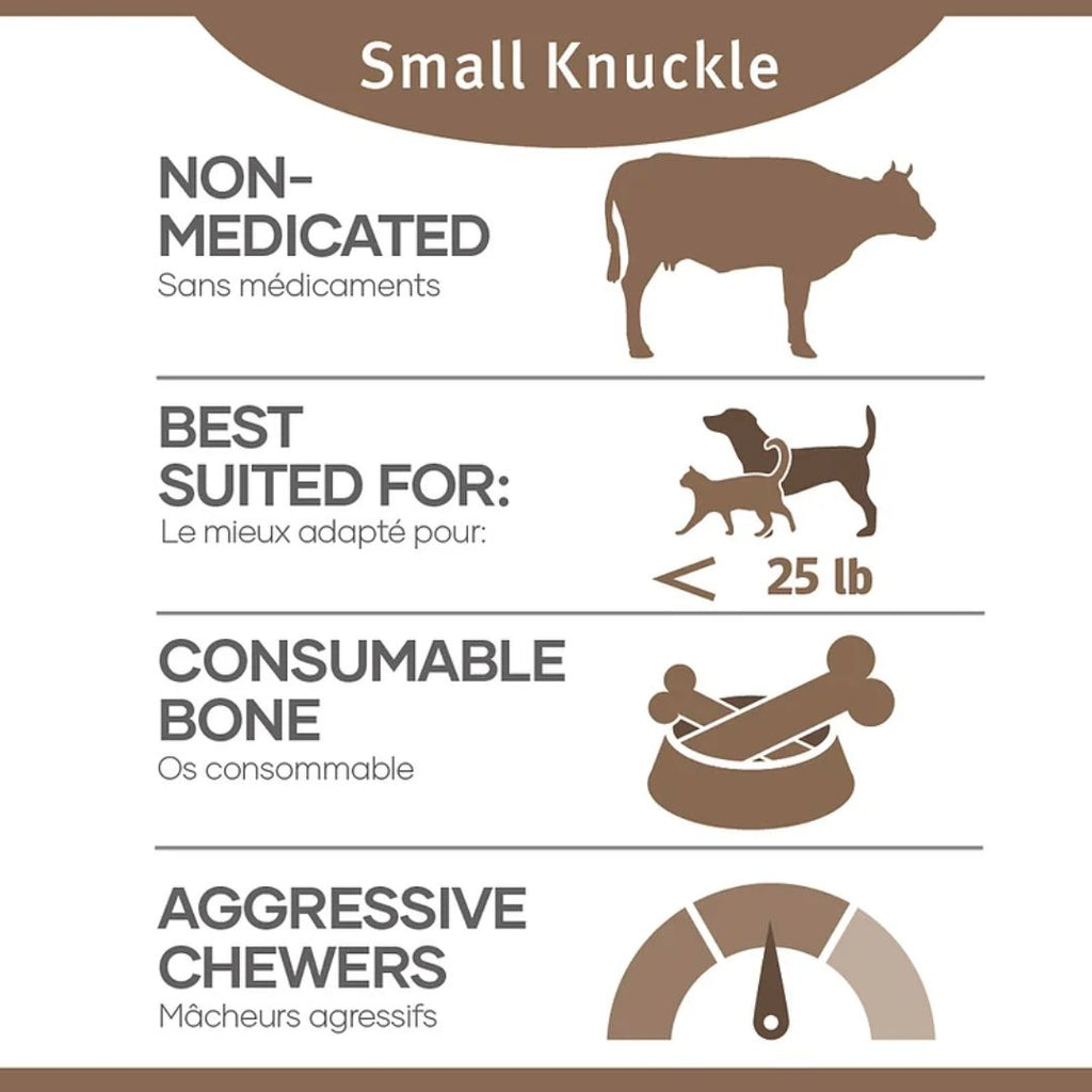 Knuckle best sale for dogs