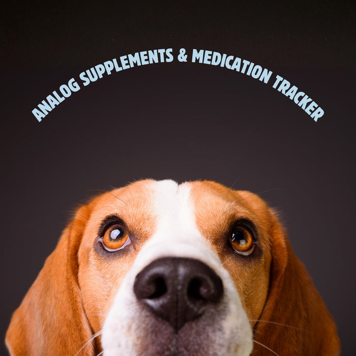 FREE Analog Supplement and Medication Tracker