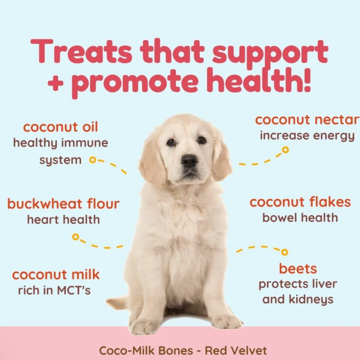 Cocotherapy Carrot Cake Biscuit - Organic Coconut Treat for dogs