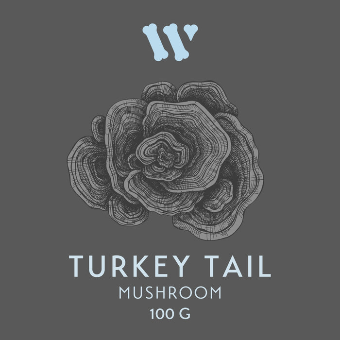Turkey Tail Mushroom (LG BAG: 100 G)