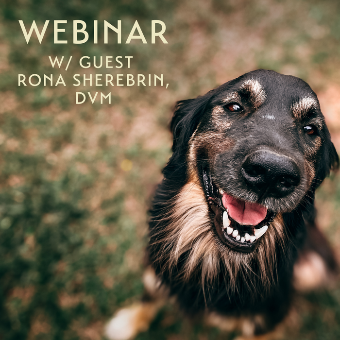 Fleas, Ticks & Heartworm with Rona Sherebrin, DVM