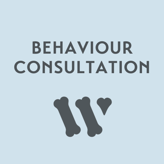 Behaviour Consultation (in-person)