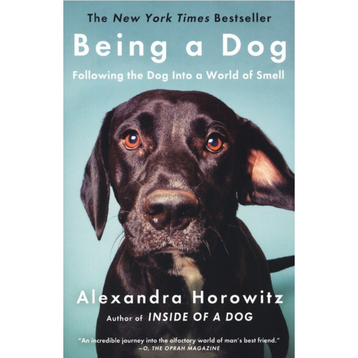 Being a Dog - Following the dog into a world of smell