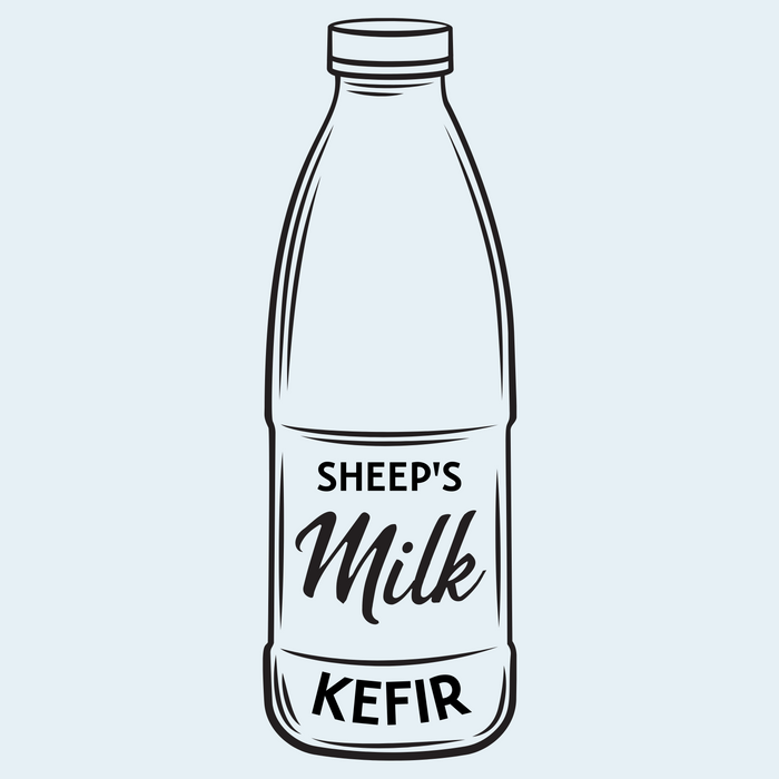 Raw Fermented Sheep's Milk Kefir