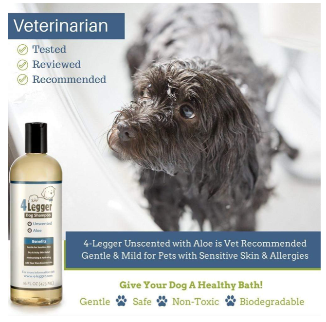 Unscented Hypoallergenic Shampoo: With Aloe