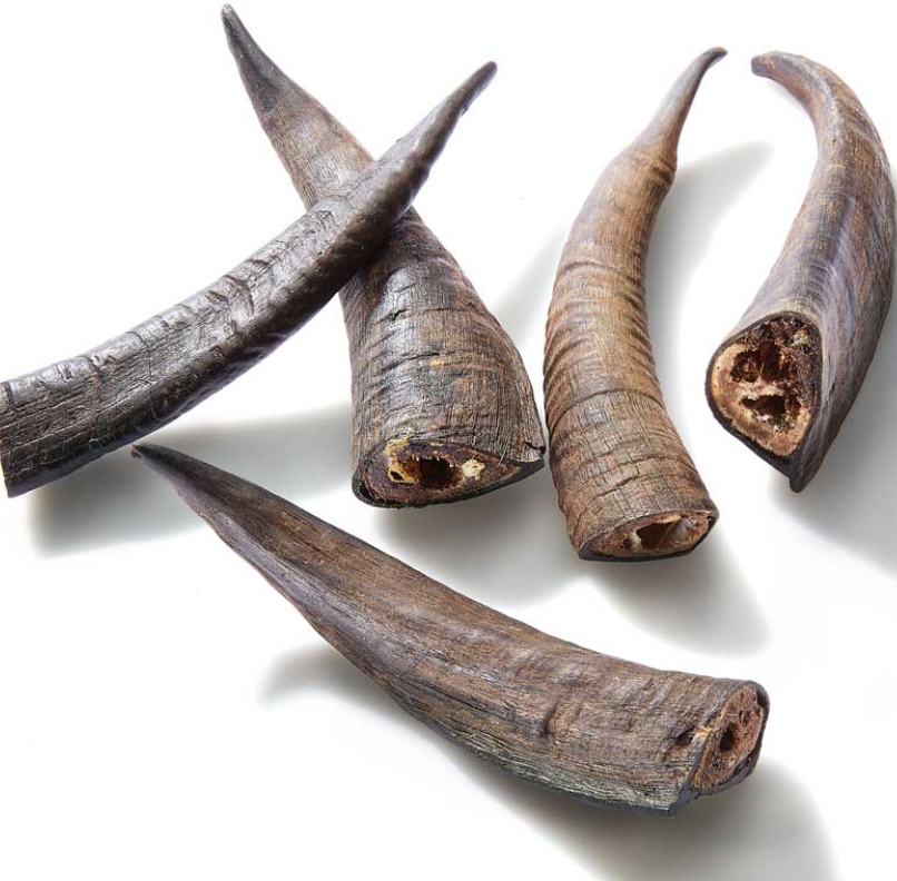 Goat Horn Chew for Dogs Wholesome Canine