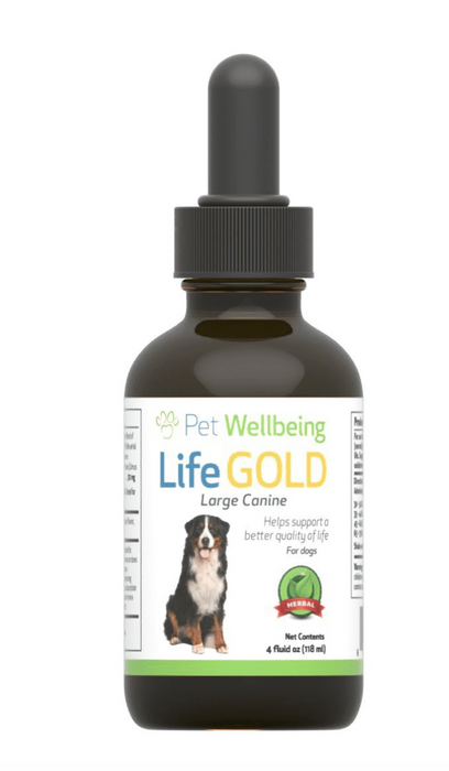 Life Gold - Cancer Support for Dogs & Cats