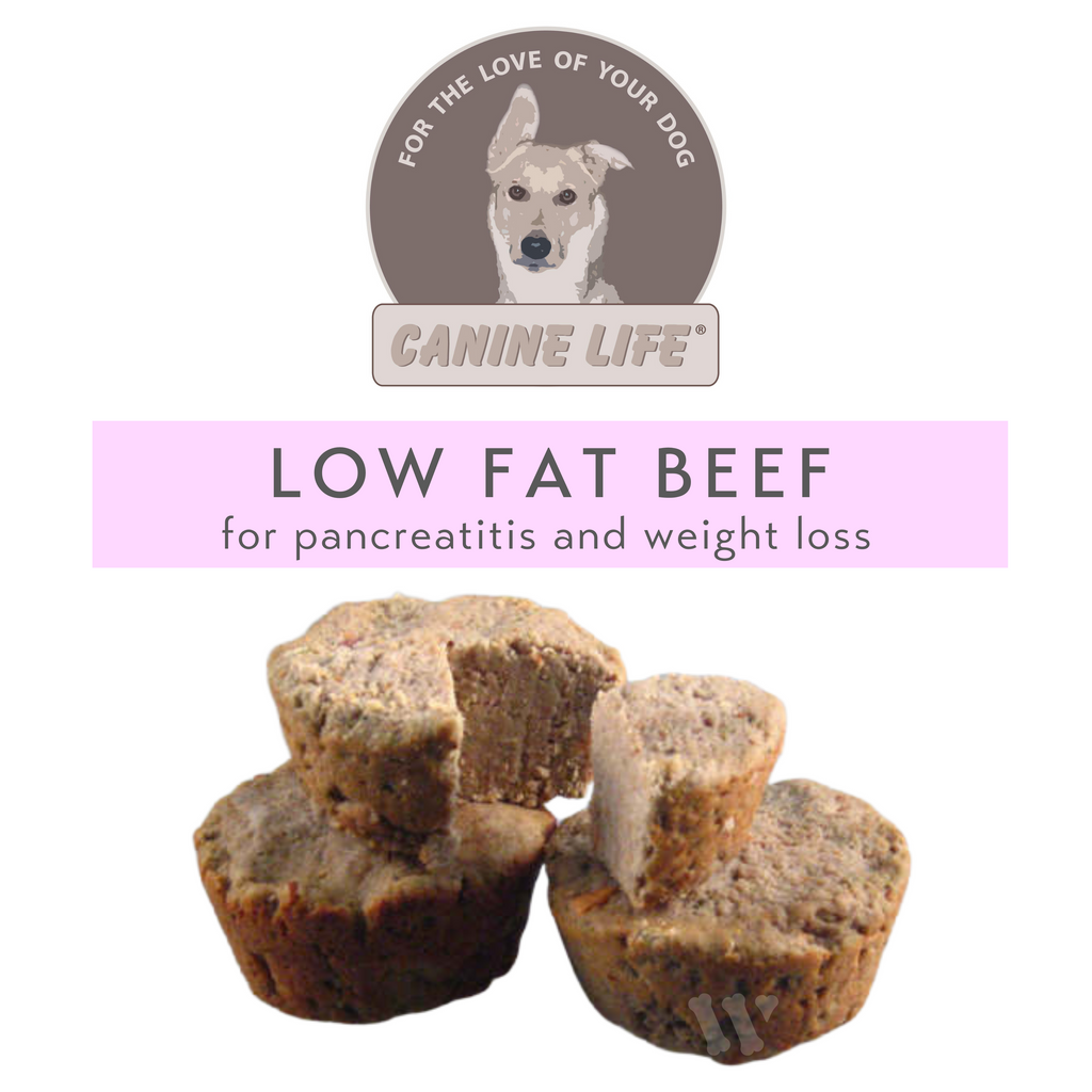 Cooked Dog Food For Pancreatitis in store or delivery in Toronto Wholesome Canine