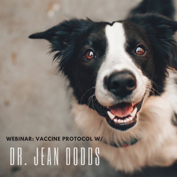 Vaccine Protocol w/ Jean Dodds, DVM