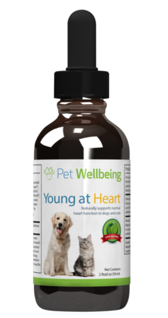 Heart vitamins for dogs discount