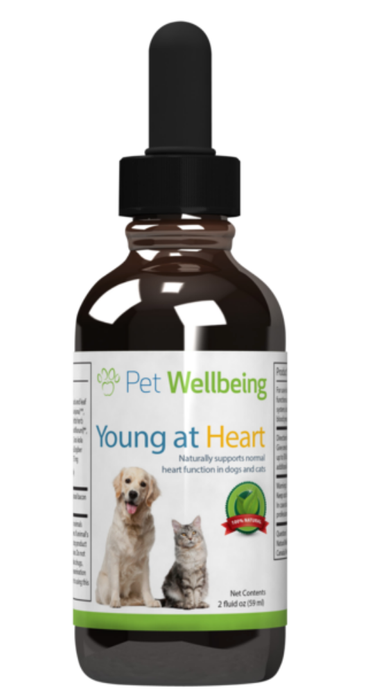 Young at Heart Herbal Tincture for dogs with Heart Disease