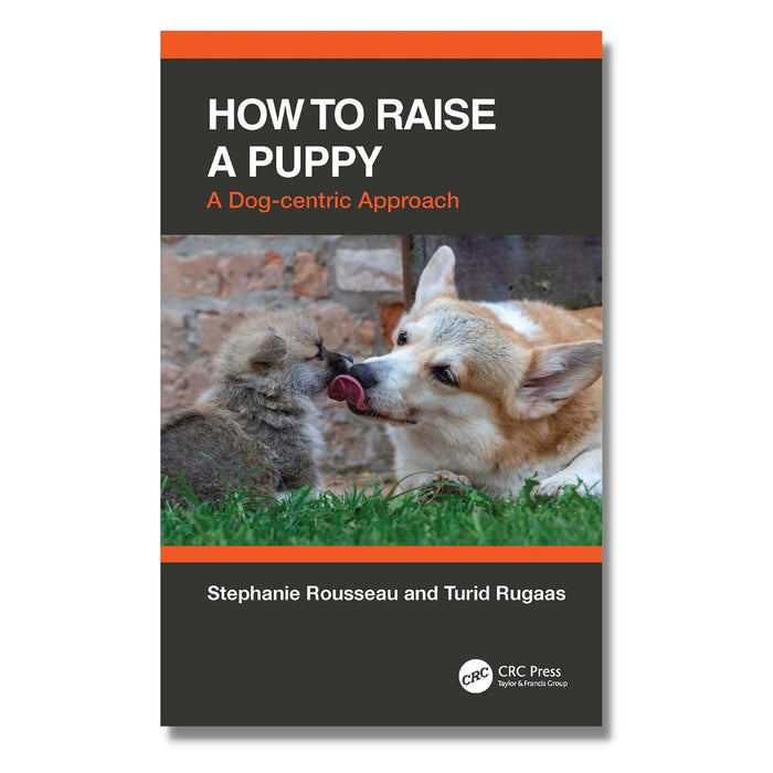 How to Raise A Puppy