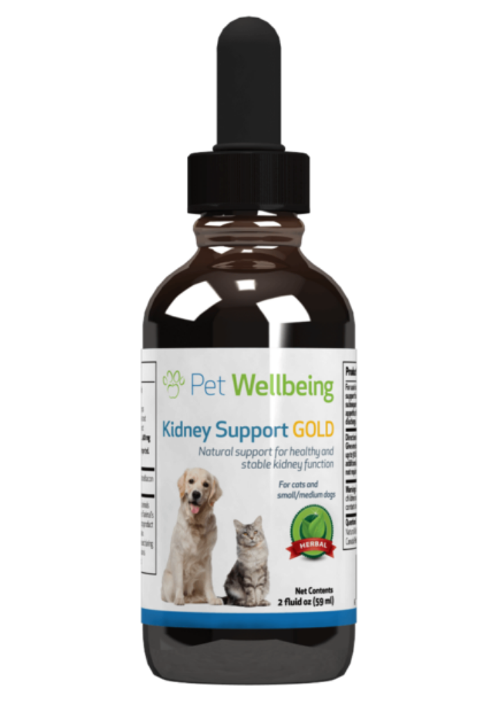 Kidney support hotsell for dogs