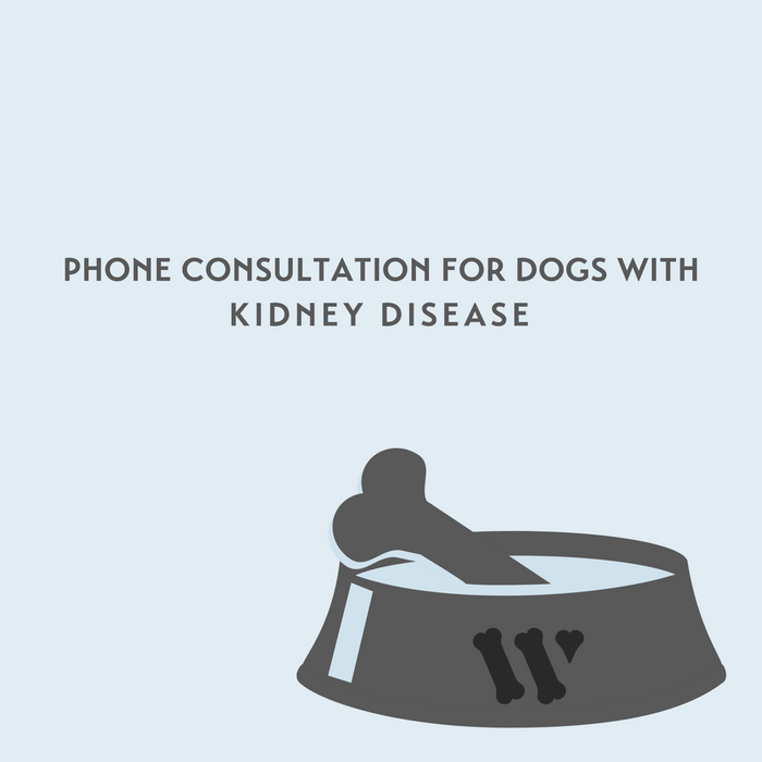 Kidney Disease Phone Consultation