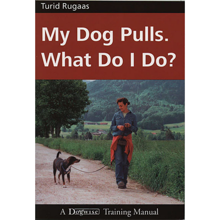 My Dog Pulls - What do I Do?
