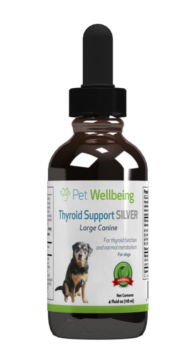 Thyroid Support Silver: Hypothyroid